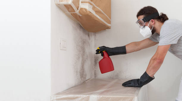 Professional Basement Mold Remediation technician working in Hurlburt Field, FL